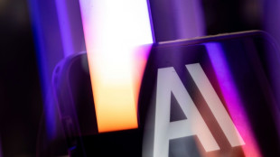 Anthropic warns of AI 'worms' spreading across smart gadgets
