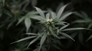 Internationale Drogentagung: EU-L&auml;nder m&uuml;ssen sich an gemeinsamen Standpunkt halten