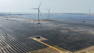 Electricit&eacute; bas carbone: l'Inde franchit un cap mais la route vers la neutralit&eacute; sera longue