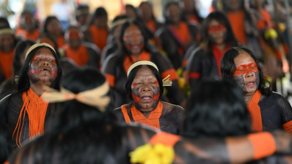 Brésil: des leaders indigènes veulent peser comme les chefs d'Etat à la COP30