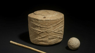 Prehistoric drum is top ancient find: British Museum 