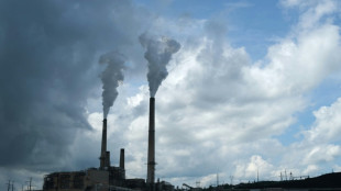 L'administration Trump enterre les limites d'&eacute;missions polluantes impos&eacute;es aux centrales &eacute;lectriques