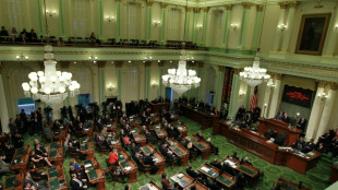 Texas, California race to redraw electoral maps ahead of US midterms