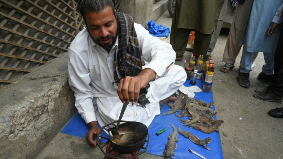 Elixir de gordura de lagarto é vendido no Paquistão para tratar problemas sexuais