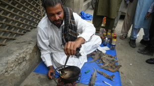 Elixir de gordura de lagarto é vendido no Paquistão para tratar problemas sexuais