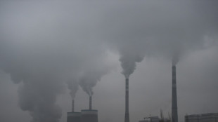 China govt to help run coal power plants at full capacity