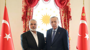 Erdogan urges Palestinian unity after meeting Hamas chief