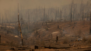 Firefighters battle California wildfire as heat wave grips much of US