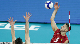 "Nichts unm&ouml;glich": Volleyballer hoffen auf n&auml;chsten Coup