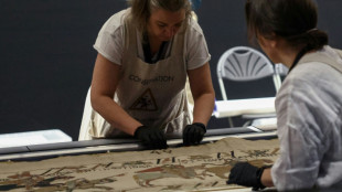 La tapisserie de Bayeux au British Museum: une exposition-&eacute;v&egrave;nement au co&ucirc;t exceptionnel
