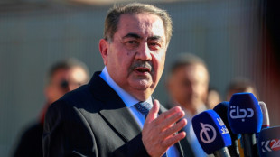 Iraq ex-foreign minister Zebari ruled out of presidential race
