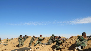 Syria's Raqa: IS bastion along the Euphrates