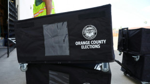 US-B&uuml;rgerin droht wegen Registrierung ihrer H&uuml;ndin als W&auml;hlerin mehrj&auml;hrige Haft