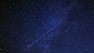 Meteorit in Rheinland-Pfalz: Finder d&uuml;rfen Bruchst&uuml;cke behalten