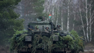 Bundestag bewilligt trotz Bedenken Mittel f&uuml;r Kauf neuer Puma-Panzer