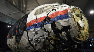 Cadena perpetua para tres acusados del derribo de un avi&oacute;n en Ucrania en 2014