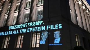 Deuxième jour d'interrogatoire de la complice d'Epstein par un haut responsable du gouvernement Trump