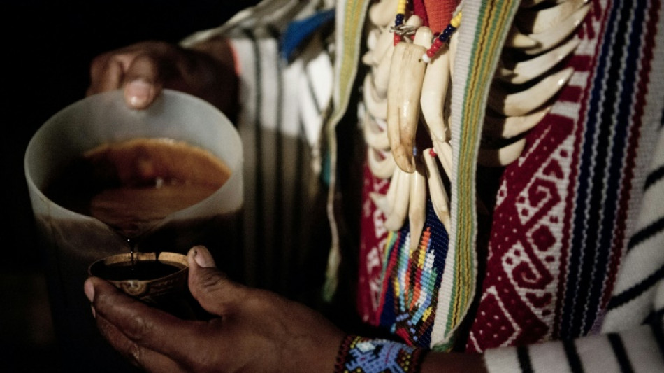 Desmantelan en Espa&ntilde;a una organizaci&oacute;n cham&aacute;nica que usaba ayahuasca colombiana