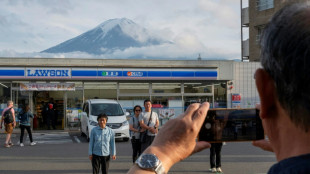 Sick of tourists, Japan town blocks view of Mt Fuji