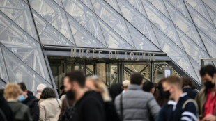 Louvre fecha por 'raz&otilde;es de seguran&ccedil;a' ante temor de atentado