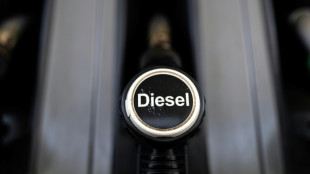 Le diesel atteint de nouveaux records aux Etats-Unis, renfor&ccedil;ant l'inqui&eacute;tude sur le co&ucirc;t de la vie