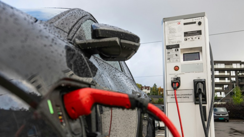 Denkfabriken: E-Autof&ouml;rderung sollte sich am Einkommen orientieren