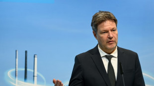 Habeck h&auml;lt Gasversorgung in Deutschland in Ukraine-Krise f&uuml;r gesichert