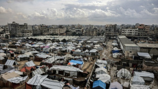 Israel hails Trump Gaza plan after UN Security Council vote