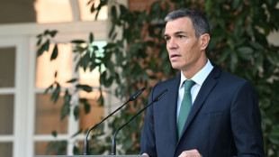 Espa&ntilde;a cancela un contrato de 700 millones de euros para la compra de lanzacohetes de dise&ntilde;o israel&iacute;