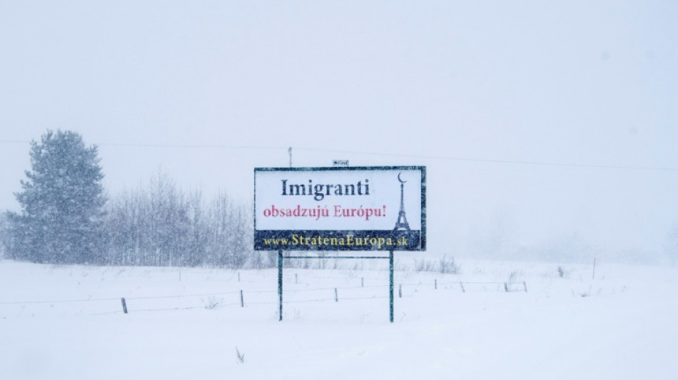 Pol&ocirc;nia, Rep&uacute;blica Tcheca e &Aacute;ustria imp&otilde;em controles antimigrantes na fronteira com Eslov&aacute;quia