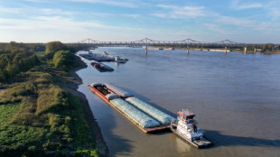 Low water level on Mississippi River hurts US grain shipping