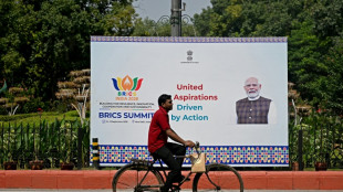 Putin llega a India para cumbre de los BRICS acaparada por tensiones gepol&iacute;ticas