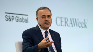 Saudi Aramco CEO calls energy transition strategy a failure