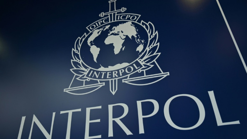 Interpol: Mehr als tausend Festnahmen auf vier Kontinenten bei Schlag gegen Menschenh&auml;ndler
