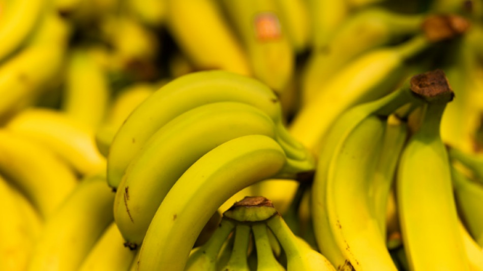 Drogen in Bananenkisten: Rauschgiftfund in Superm&auml;rkten in Berlin und Brandenburg