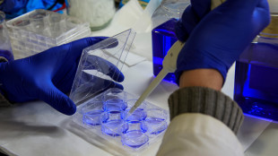 Giornata mondiale contro il cancro, 12 tipi legati all'obesit&agrave;