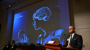 US-German trio wins medicine Nobel for illuminating the brain