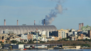 Doubts as Italy eyes electric future for steel plant