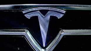 Verband: Tesla-Verk&auml;ufe in Europa im April um die H&auml;lfte eingebrochen 