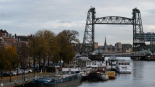 Plan to dismantle iconic bridge splits opinion in Rotterdam