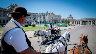 Vienna's horse-drawn carriages feel the heat