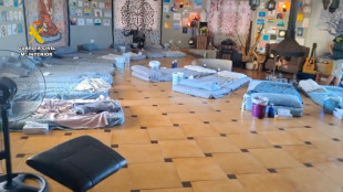 Espanha desmantela grupo que organizava 'retiros espirituais' com drogas alucinógenas