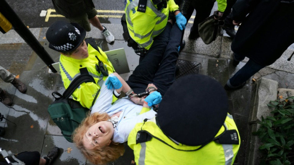 Palestine Action wins bid to challenge terror ban in London court