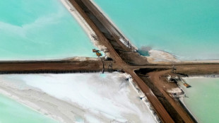 Mucha regulación y poca inversión, la paradoja de una Europa necesitada de litio... y de América Latina