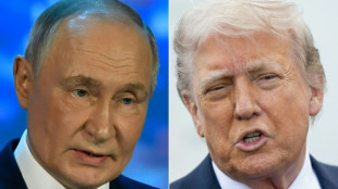 Trump und Putin f&uuml;hren Telefonat &uuml;ber Ukraine-Krieg