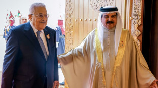 Arabische Liga fordert Einsatz von UN-Friedenstruppen in Palästinensergebieten