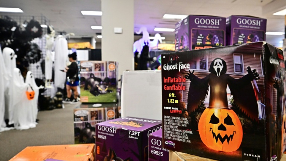 Most markets rise as US producer price data stokes rate cut bets