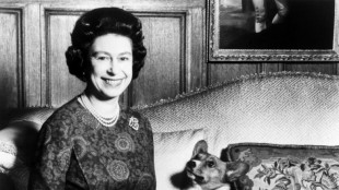 Dogs Save The Queen: the monarch and her corgis