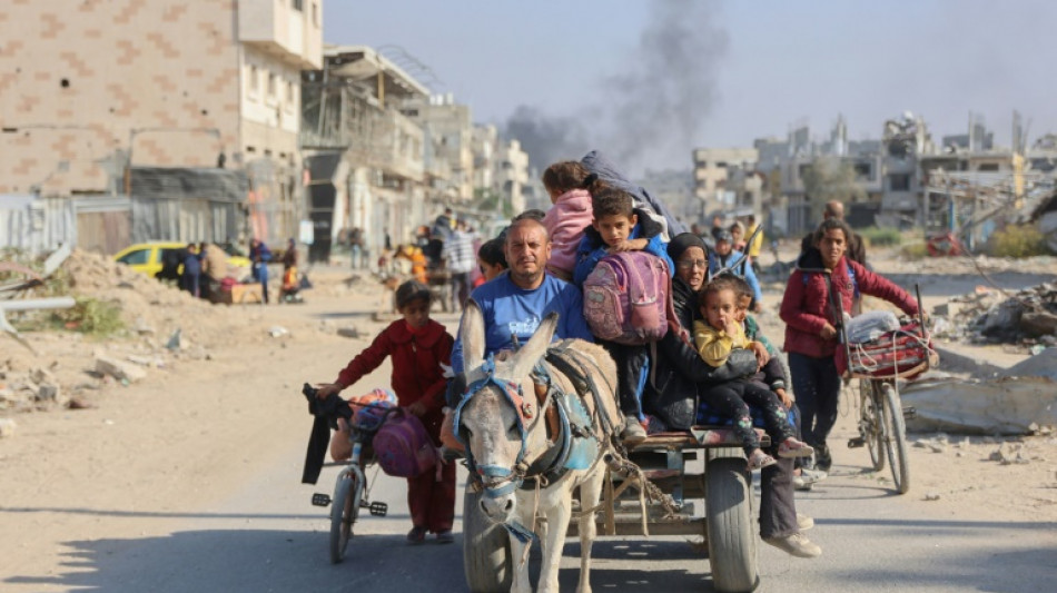 Burros de Gaza s&atilde;o uma ajuda vital em tempos de guerra