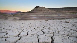 Climate impacts set to cut 2050 global GPD by nearly a fifth